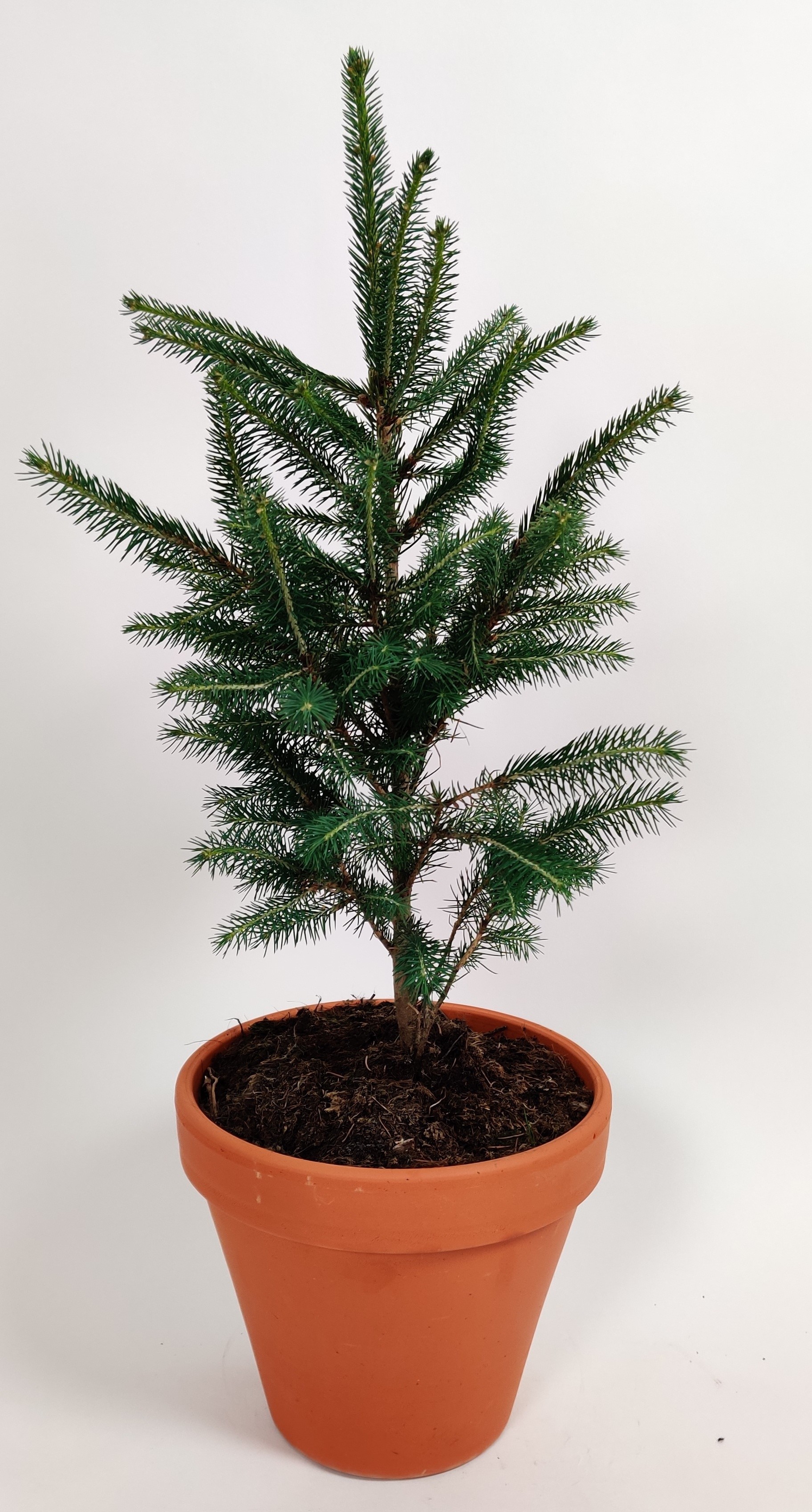 IMG 20190701 150429 01